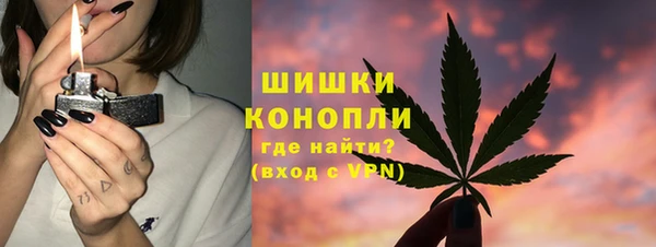 ГАЛЛЮЦИНОГЕННЫЕ ГРИБЫ Арсеньев