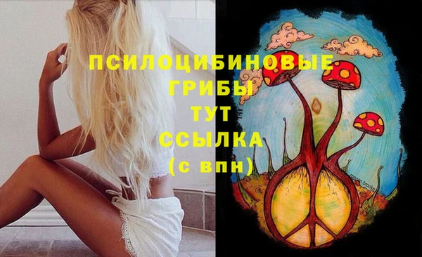 ешки Армянск