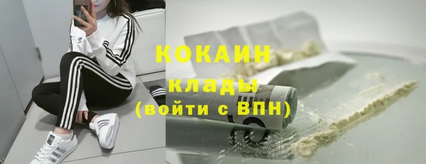 ГАЛЛЮЦИНОГЕННЫЕ ГРИБЫ Арсеньев