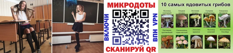 Галлюциногенные грибы мицелий Качканар